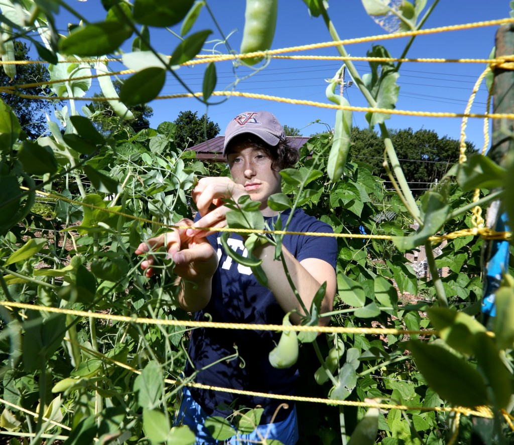 Learning by growing: Students dig into sustainability at UW-Sprout ...