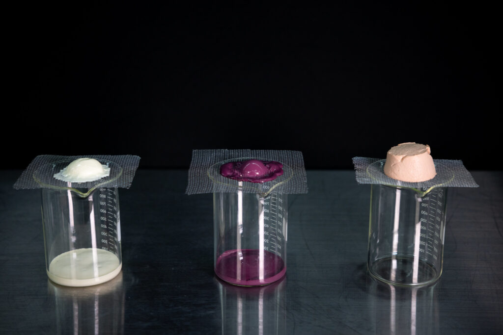 Photo of Wicks testing the melting rates of ice creams mixed with varying amounts of polyphenol extract. (Photo: Michael King/University of Wisconsin–Madison)