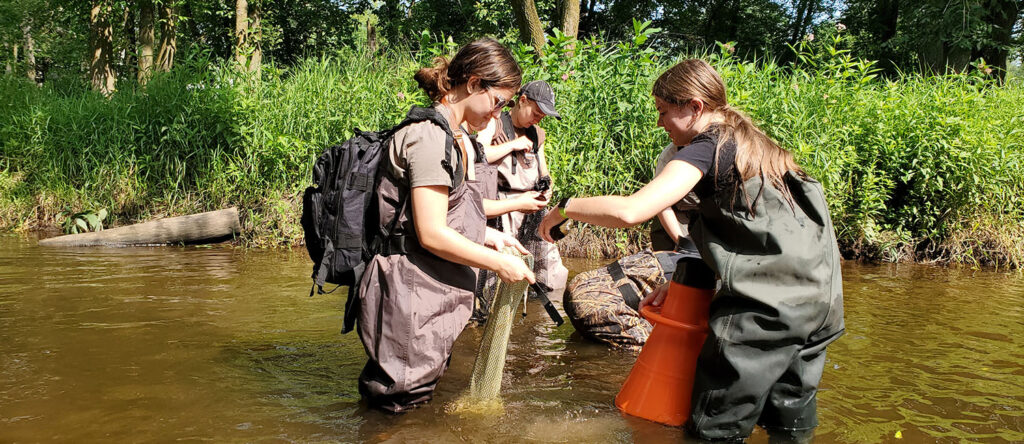 Photo of High School Summer Scholars conducting a mussel survey.