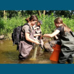 Photo of High School Summer Scholars conducting a mussel survey.