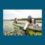 Photo of wild rice research (UW-Madison)