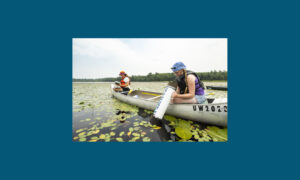 Photo of wild rice research (UW-Madison)