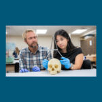 Photo of University of Wisconsin-Oshkosh senior Hannah Vang using calipers to measure a model of a human skull alongside anthropology associate professor Jordan Karsten.